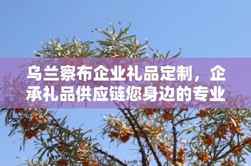 乌兰察布企业礼品定制，企承礼品供应链您身边的专业礼品定制公司